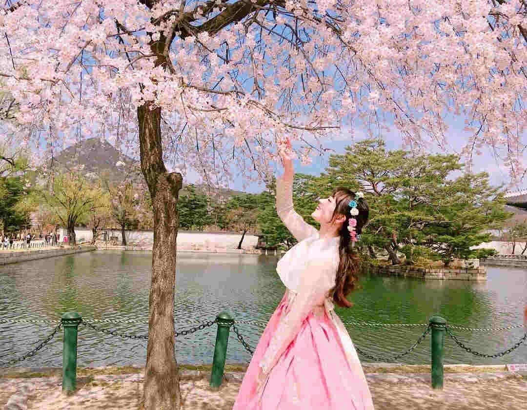 TOUR DU LỊCH HÀN QUỐC 5 NGÀY 4 ĐÊM BẢN PHỔ THÔNG NGẮM TRỌN VẺ ĐẸP HOA ANH ĐÀO (THÁNG 3,4) LỄ 30.4-1.5 TOUR CHẤT LƯỢNG CAO GIÁ TỐT TỪ HÀ NỘI TP HỒ CHÍ MINH - SEOUL-NAMI - EVERLAND - CÔNG VIÊN YEOUIDO - RỪNG SEOUL 