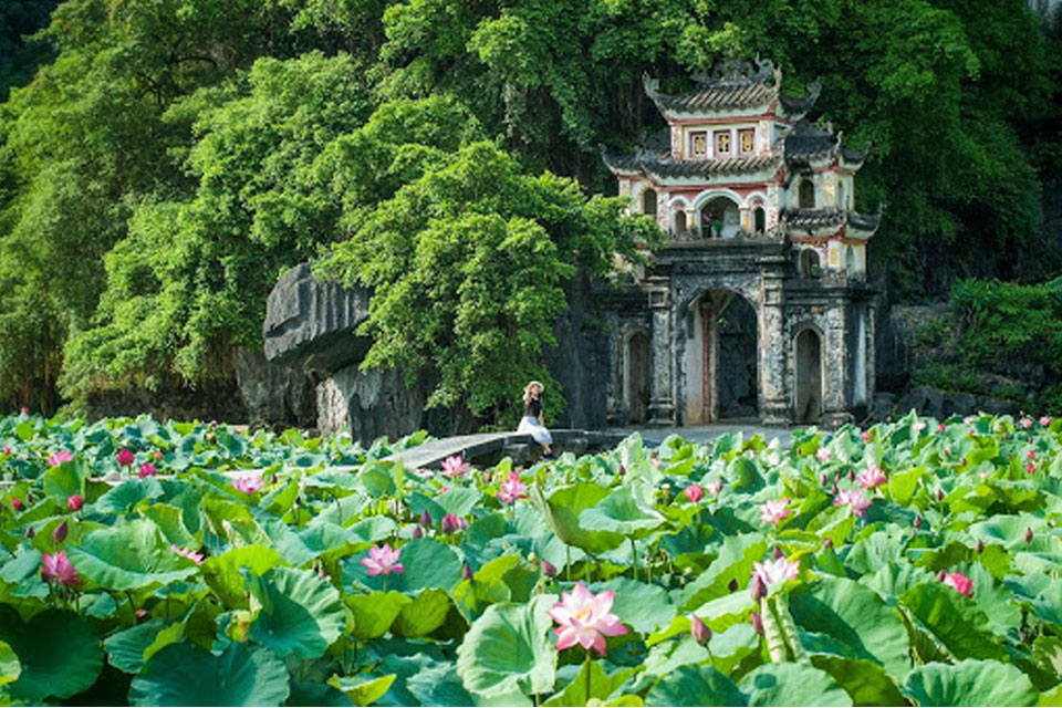 HÀ NỘI - TAM CỐC   THUNG NHAM NINH BÌNH